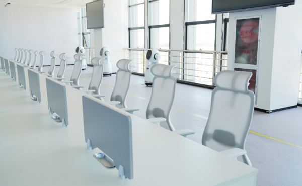 Ergonomic Chair