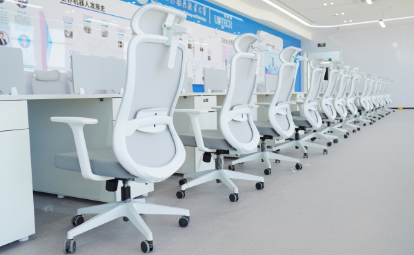 Ergonomic Chair