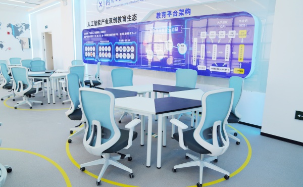 Ergonomic Chair