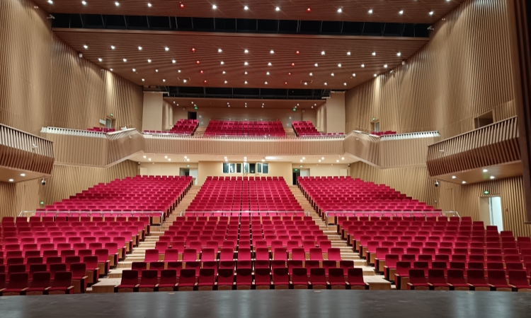 Auditorium Chairs