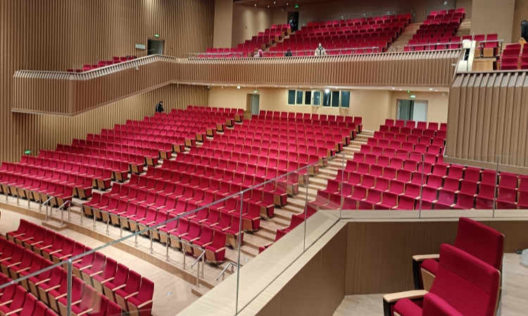 Auditorium Chairs