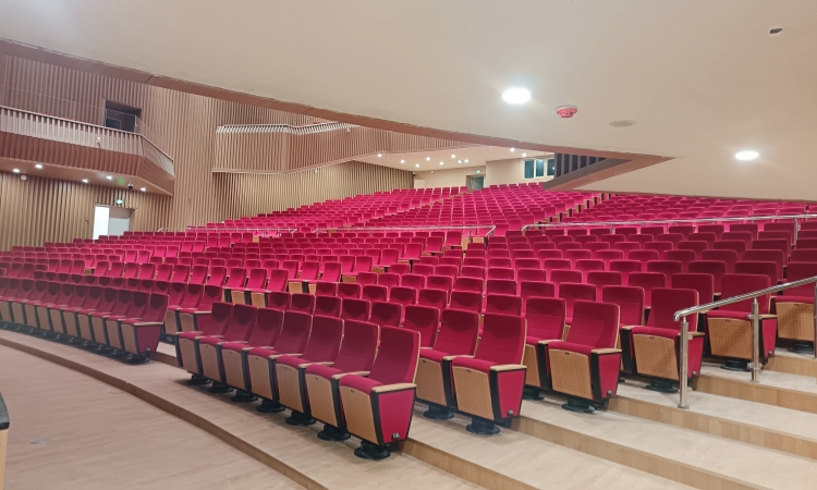 Auditorium Chairs