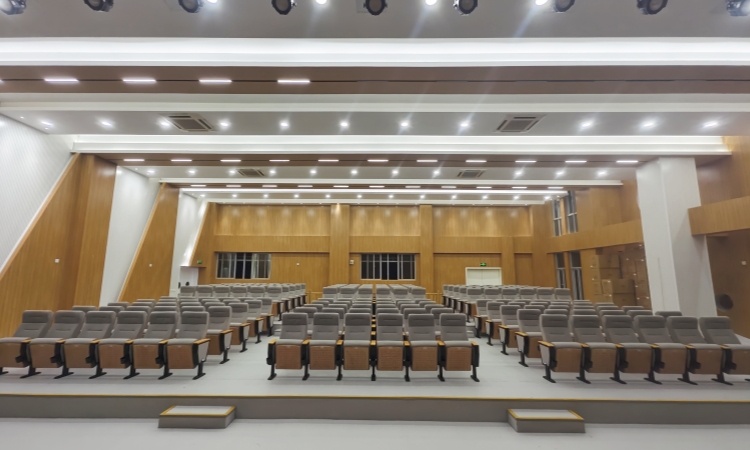 Auditorium Chairs