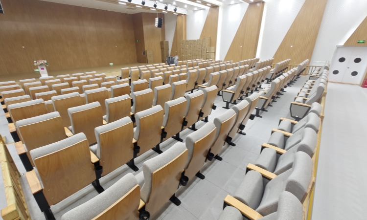 Auditorium Chairs