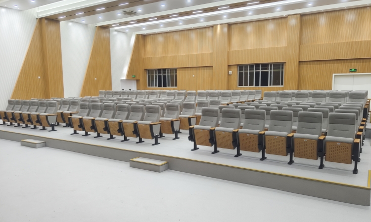 Auditorium Chairs