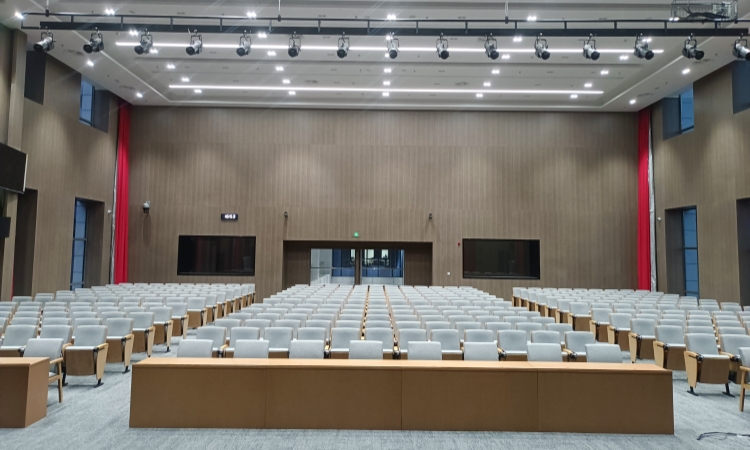 Auditorium Chairs