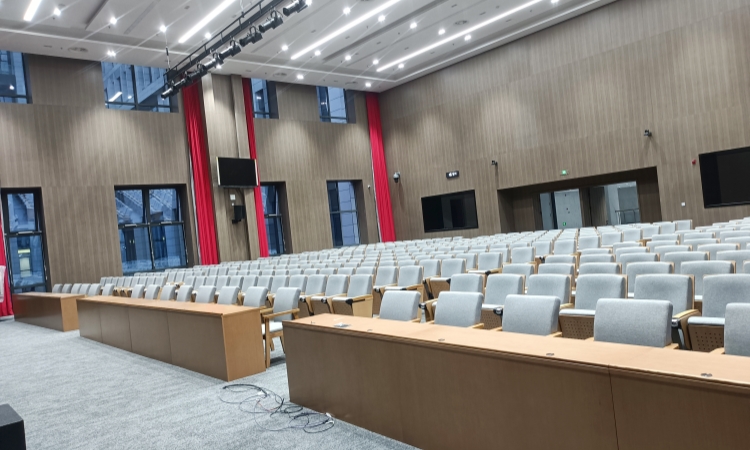 Auditorium Chairs