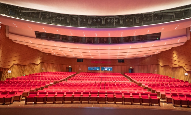 Auditorium Chairs