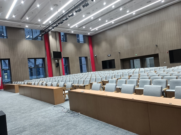 Auditorium seatings