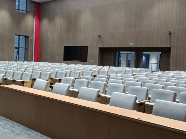 auditorium seatings