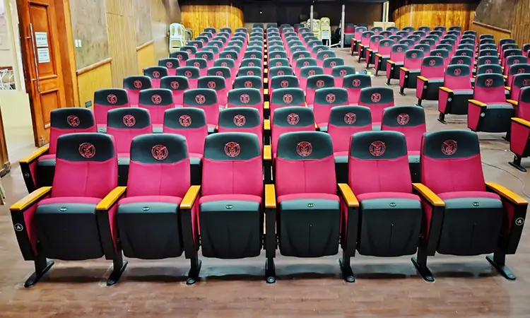 Auditorium Seating