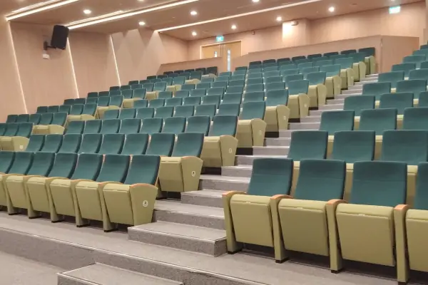 cinema chairs cinema chairs