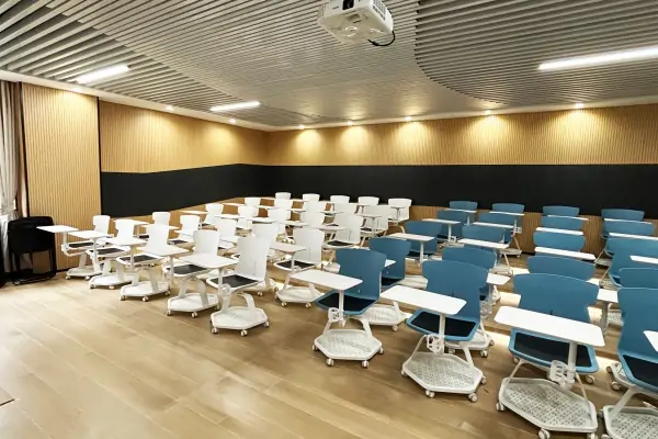 lecture chairs lecture chairs