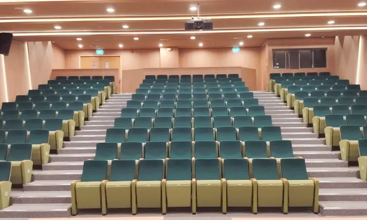 Auditorium Seating