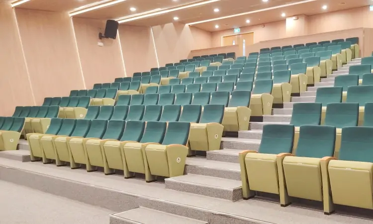 Auditorium Seating