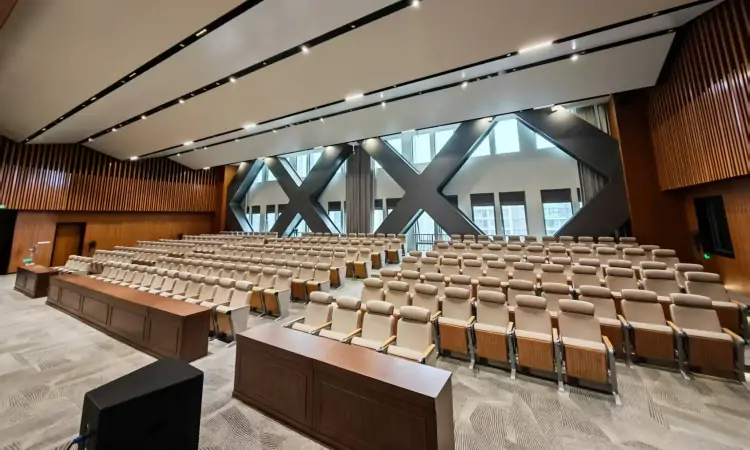 Auditorium Seating