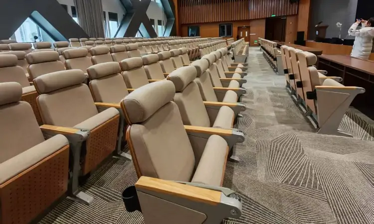 Auditorium Seating