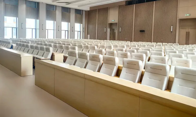 Auditorium seatings