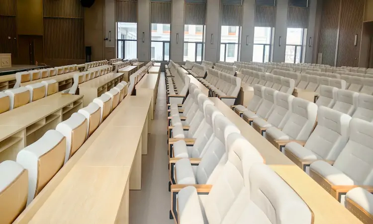 Auditorium seatings