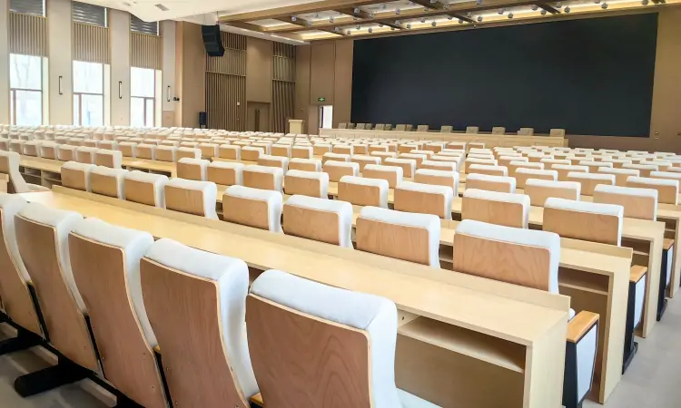 Auditorium seatings