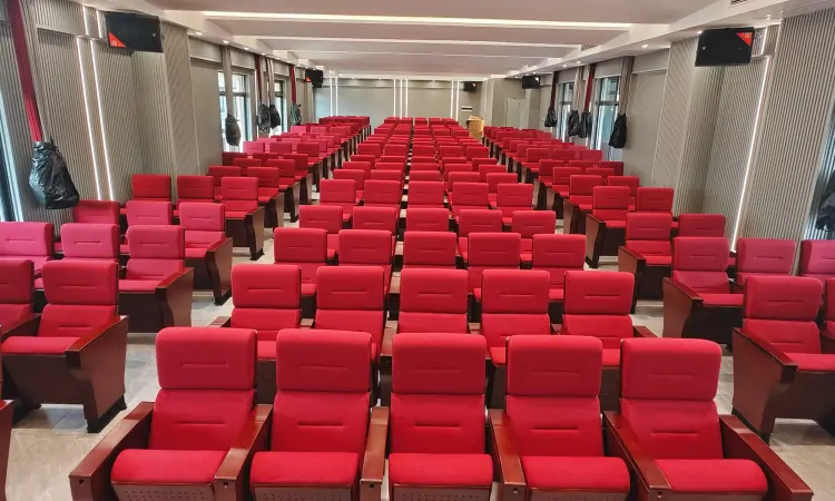 Auditorium Seating