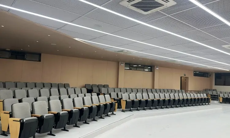 Auditorium Seating