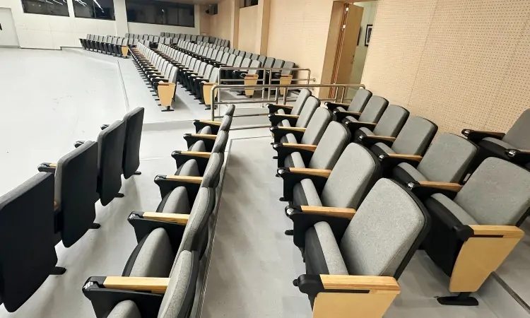 Auditorium Seating