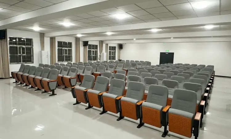 Auditorium Seating