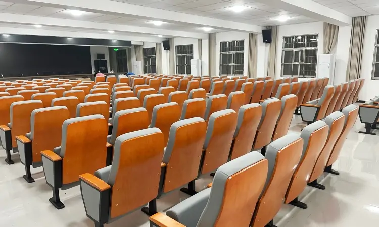 Auditorium Seating