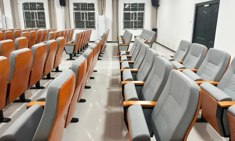 Auditorium Seating