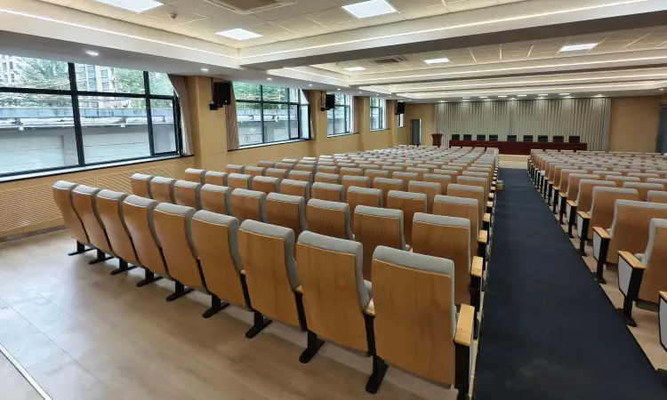 Auditorium Seating