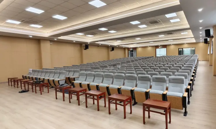 Auditorium Seating