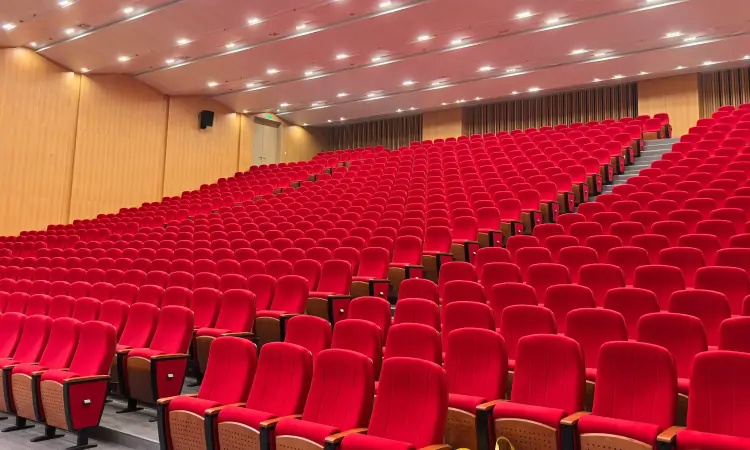 Auditorium Seating