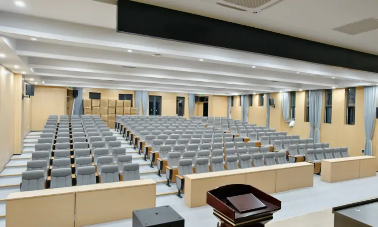 Auditorium Seating