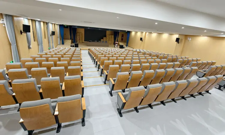 Auditorium Seating