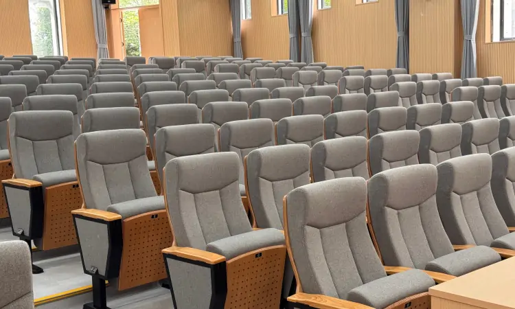 Auditorium Seating
