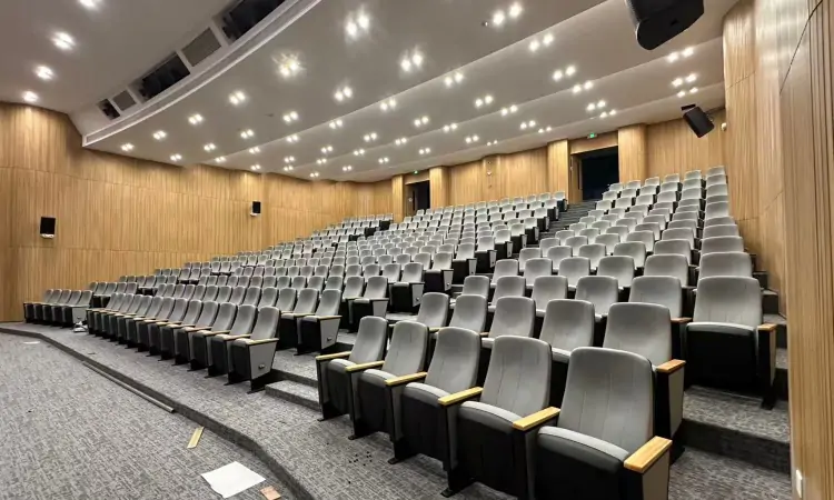 Auditorium Seating