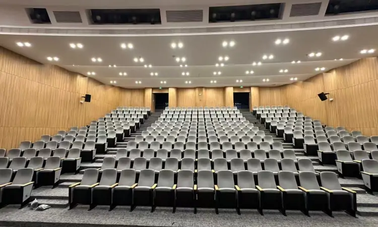 Auditorium Seating