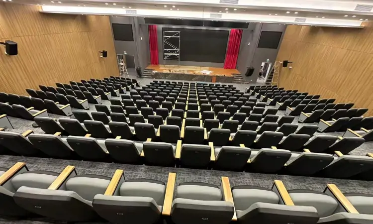 Auditorium Seating