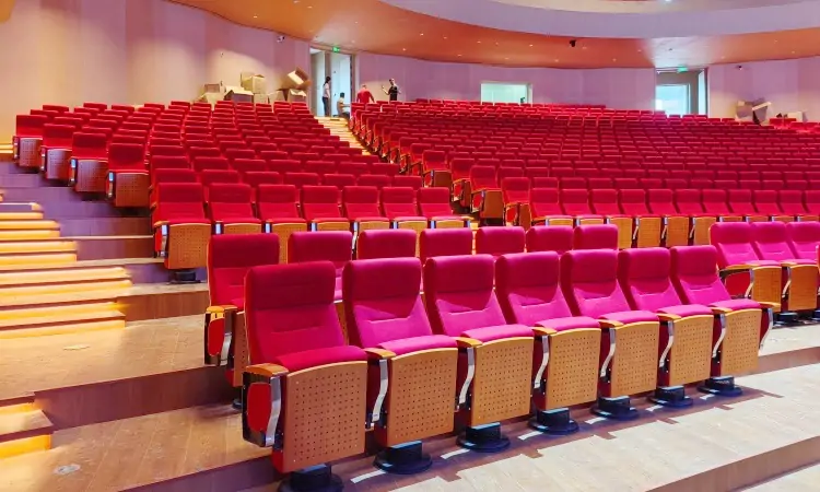 Auditorium Seating