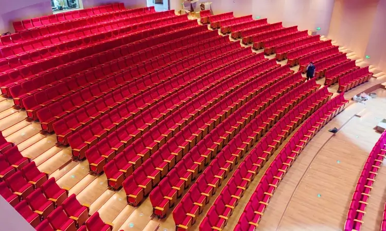 Auditorium Seating
