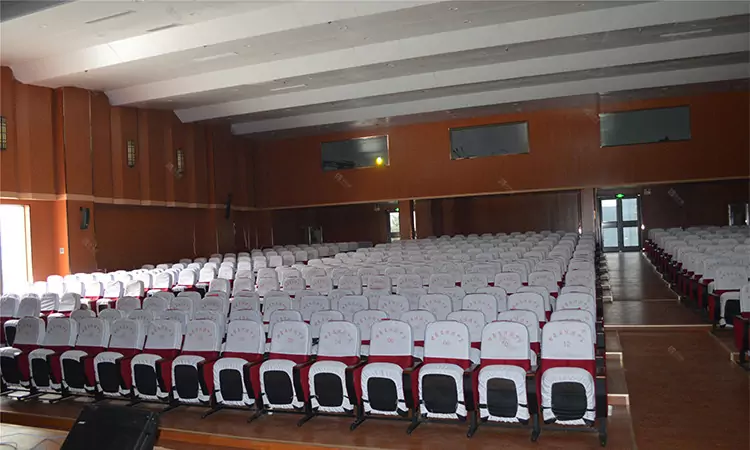 auditorium chair