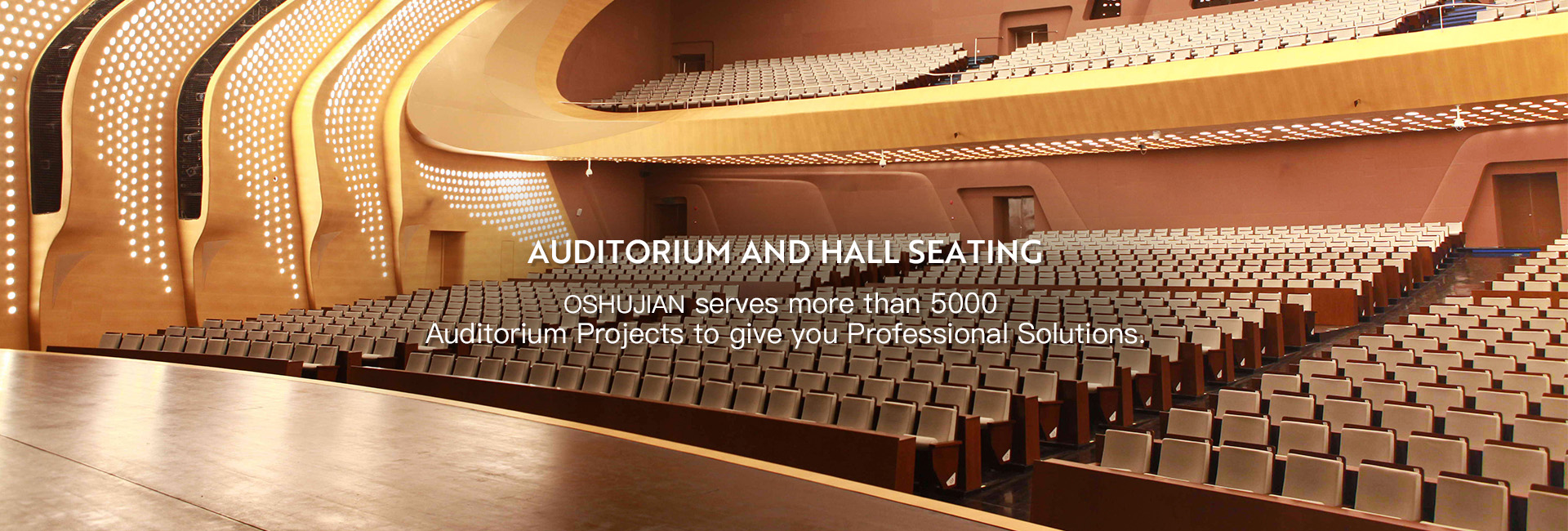 Auditorium Seating Manufacturer Theater Seating Supplier Seating System