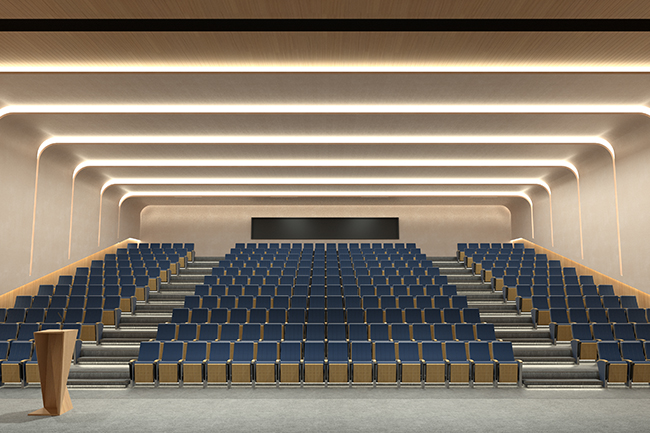 Auditorium Seating