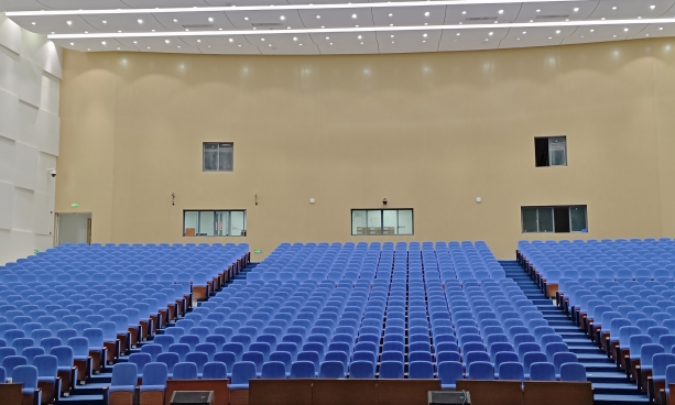 Auditorium chairs